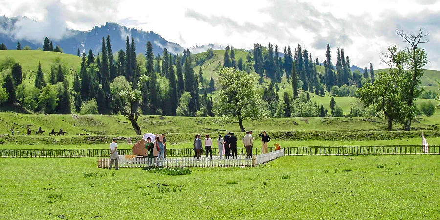Nalati Grassland in Summer