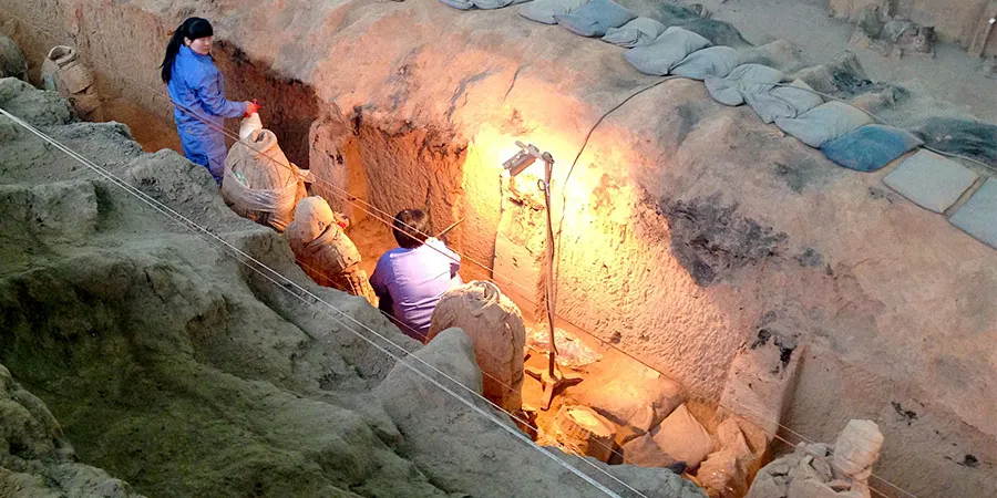  On-site Excavation and Restoration