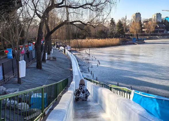 Park in Winter