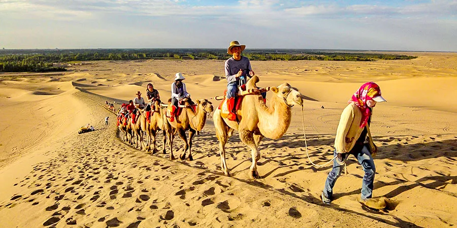 Popular Dessert in Hohhot