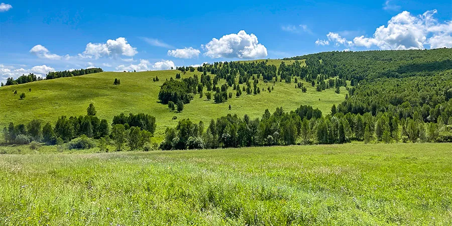 Prosperous Grassland in Hohhot
