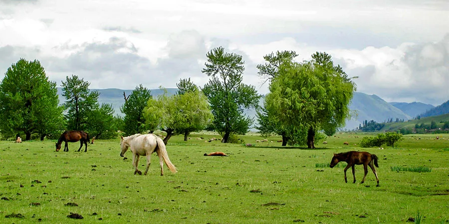 Rainy Weather in Hohhot