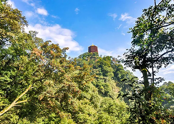 Scenery on Mount Qingcheng