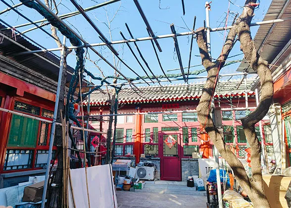 A Typical Siheyuan (Courtyard) at Beijing Hutong
