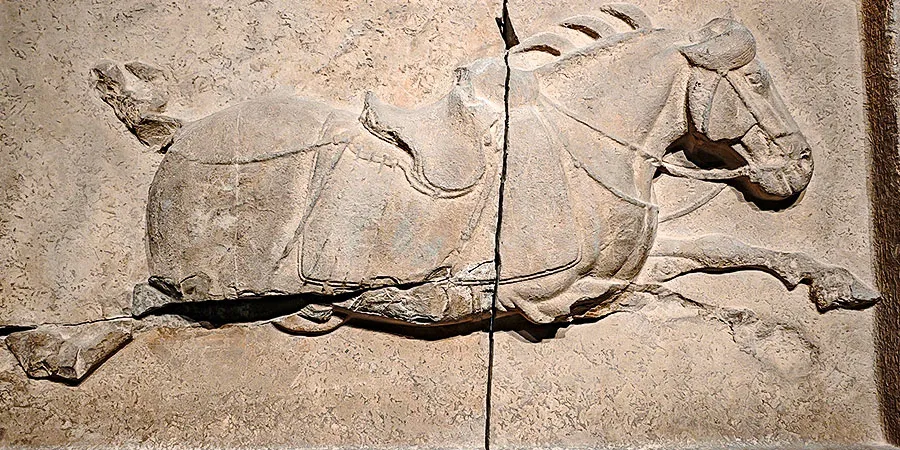 Six Steeds of Zhaoling Mausoleum, Stele Forest Museum