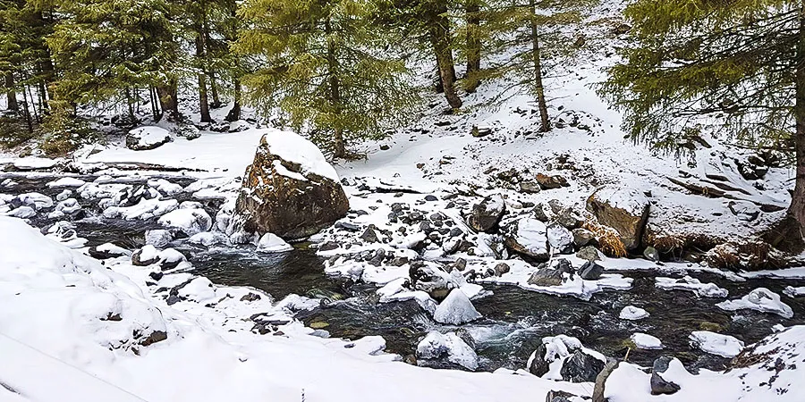 Snowy Day of Xinjiang