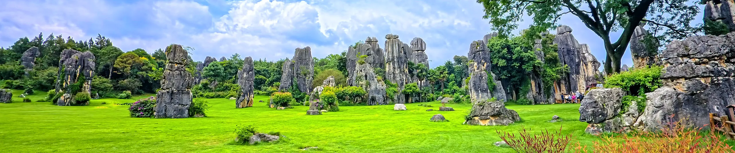 Stone Forest, Kunming