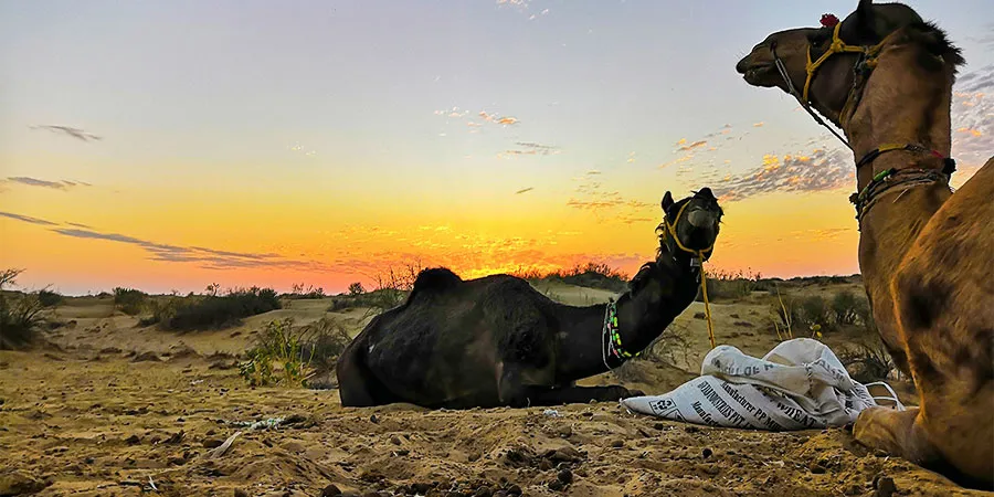 Dessert Sunset Hours