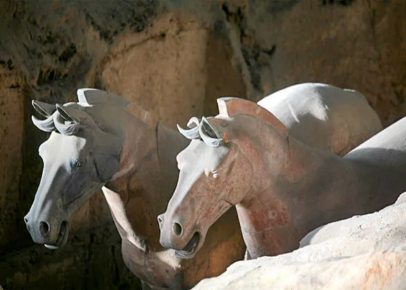 Terracotta Horses in Pit 1