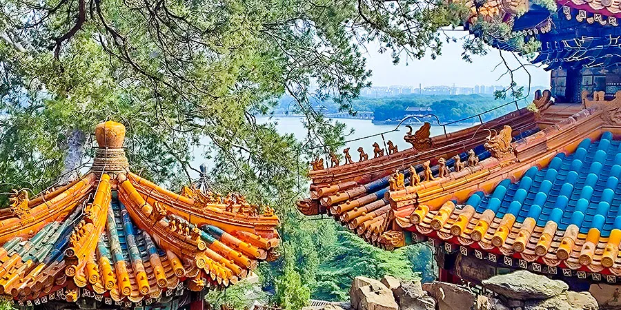 Roofs of the Pavilions