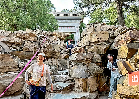 Rockery & Steps in the Area