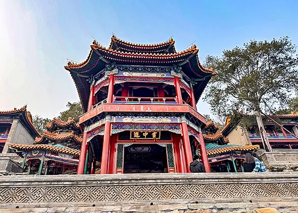 Through the Wonderland