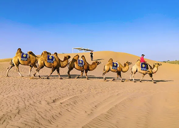 Sunny, Warm, and Dry Turpan in April