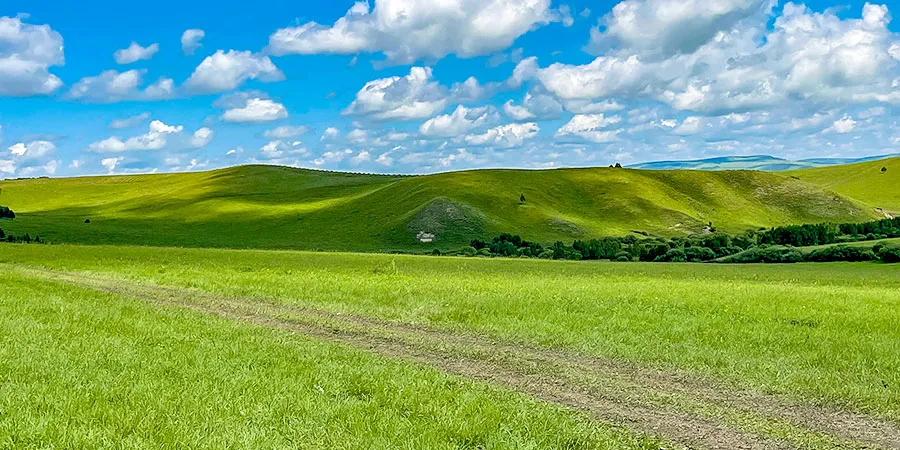 Vast and Green Grassland in Hohhot