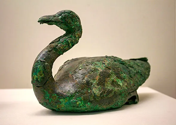 Vivid Bronze Swan
