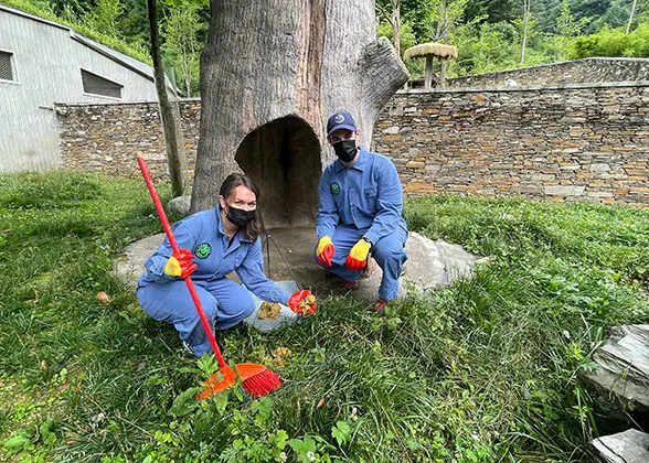 Volunteer Work at Dujiangyan Panda Base