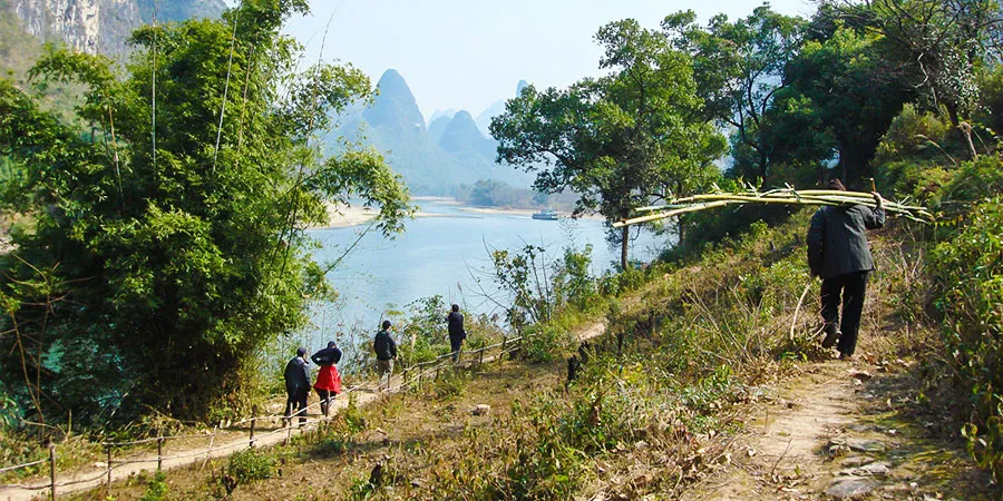 Warm Sunny Daytime in February