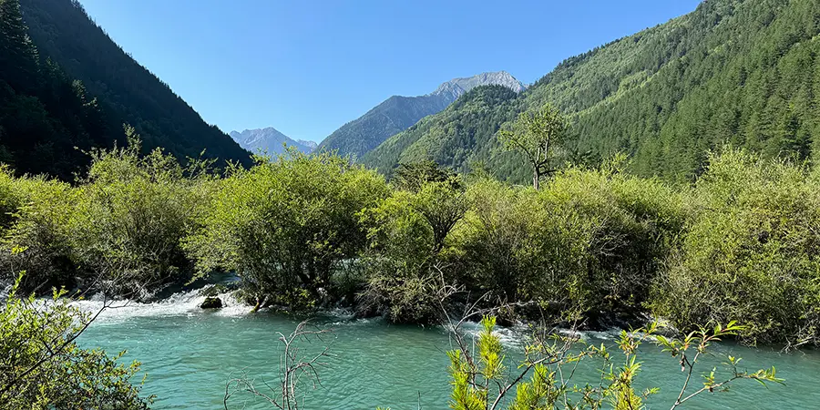 Xiniu Lake in Jiuzhaigou Park