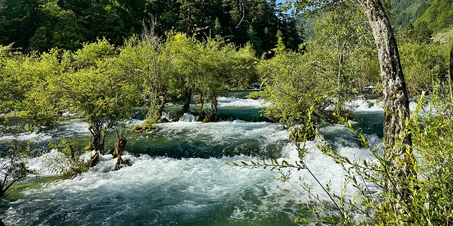 Xiniu Lake in Shuzheng Valley, Jiuzhaigou