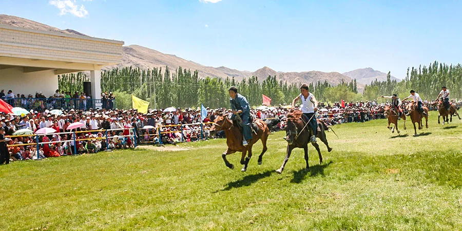 Warm and Greenery Northern Xinjiang in June