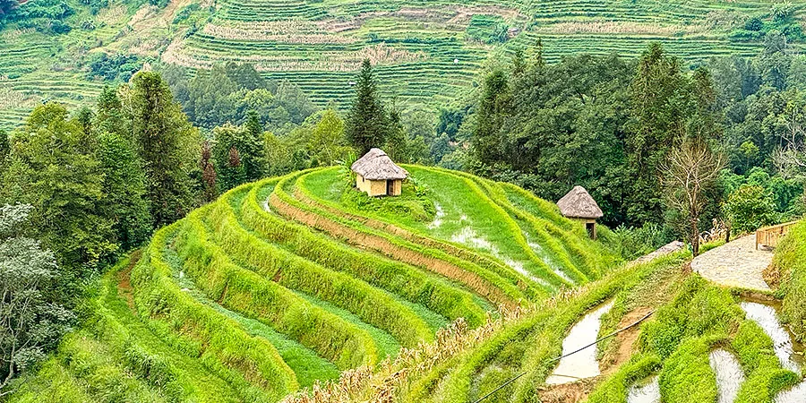 Yuanyang Rice Terrace, Honghe