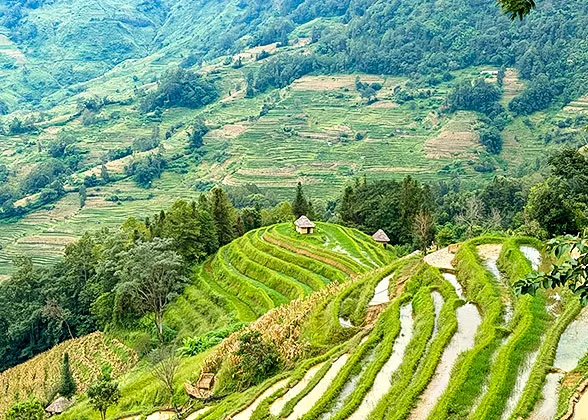 Yuanyang Rice Terrace, Honghe