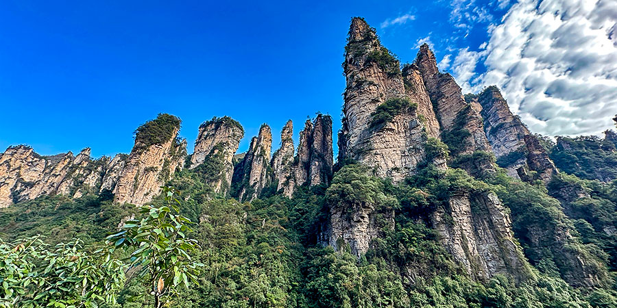 Generals Lining Up in Zhangjiajie Forest Park