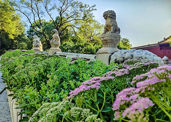 Stone Carvings of the Bridge
