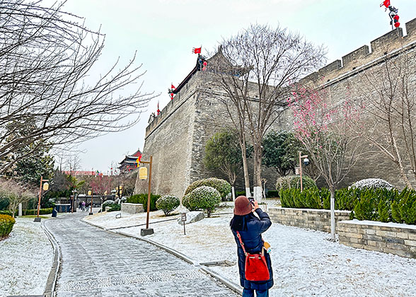 Admire Plum Blossoms in the Park