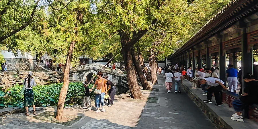 Pond & Bridge Outside the Pavilion