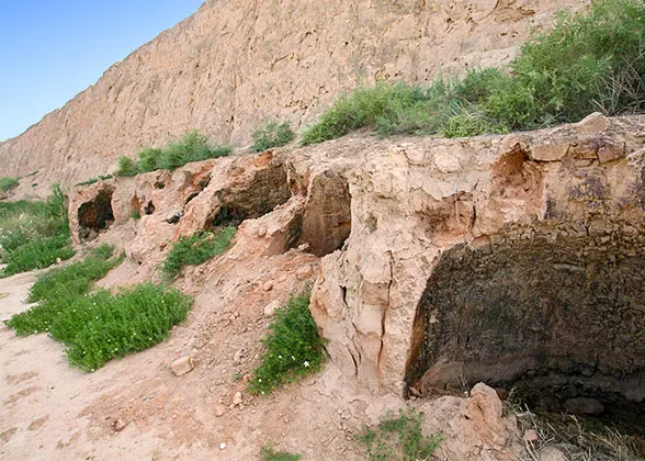 Digging holes to extract soil from the Great Wall