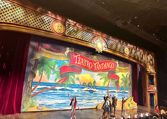 Stage Performance in the Disneyland