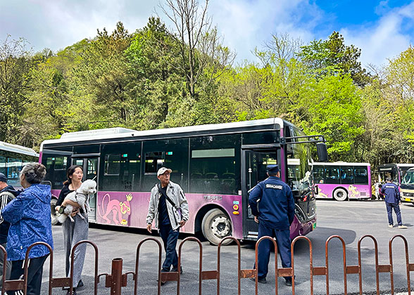 Enchanting Platform Station at Yuanjiajie