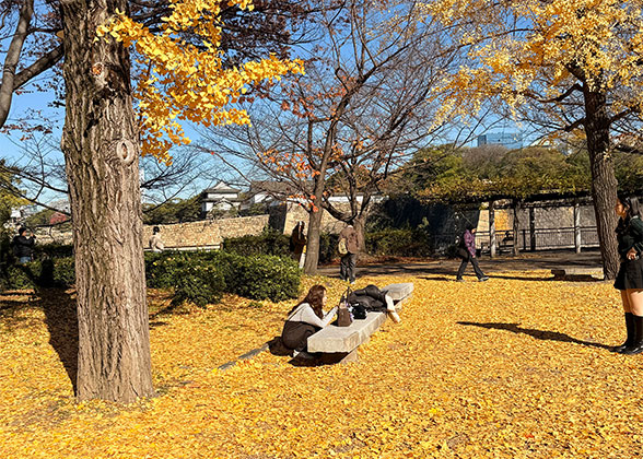 Guilin Fall Foliage View