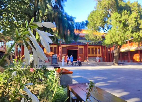 Flowers in Compassion and Tranquility Palace