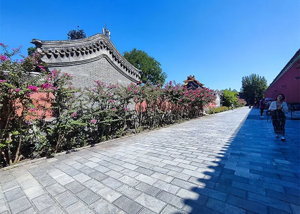 Flowers in East Forbidden City