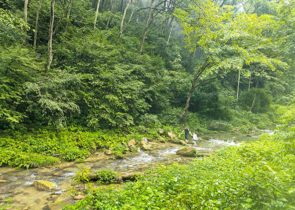 Do water activities in Golden Whip Stream
