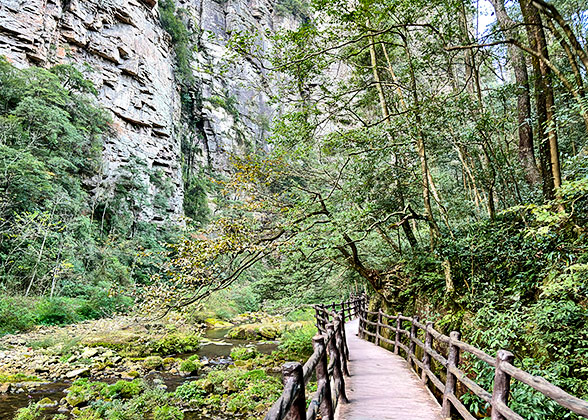 Flat Path in Golden Whip Stream