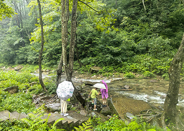 Conduct Water Activities in Golden Whip Stream