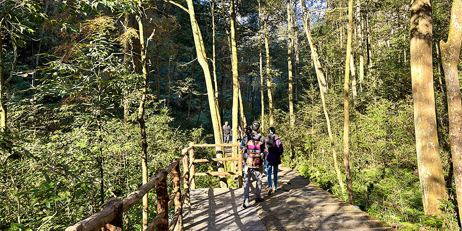 Hike along Golden Whip Stream in Sunny Weather