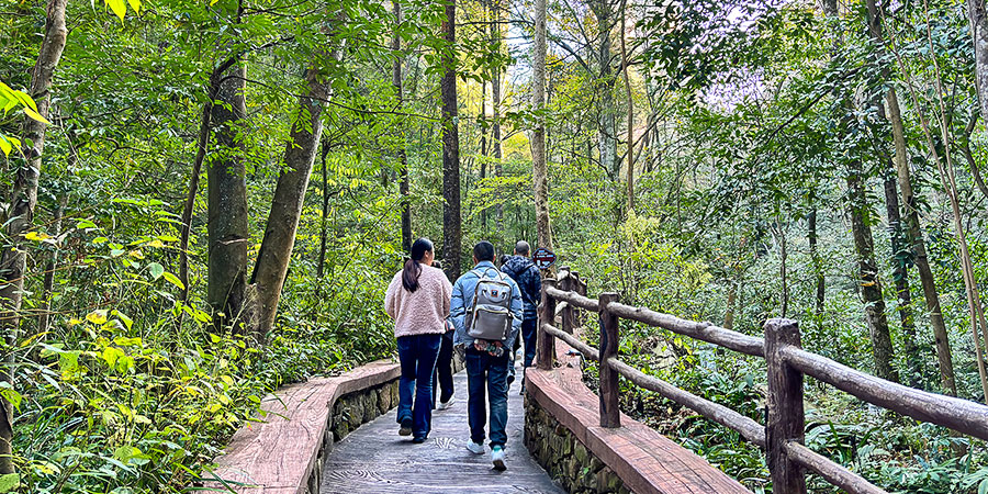 Hike at Golden Whip Stream in Zhangjiajie