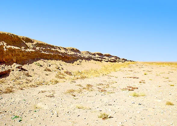 The Great Wall in the Desert