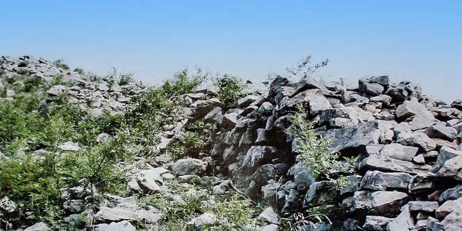 Great Wall of Zhao State
