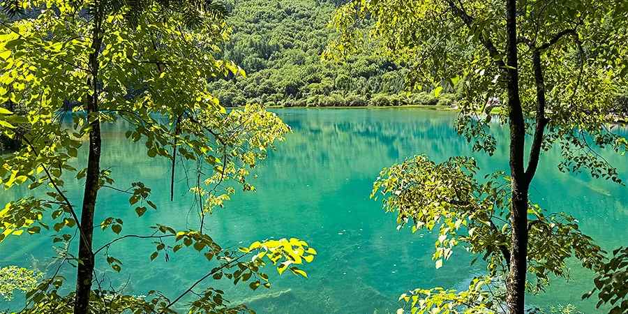 Green and Clear Pool