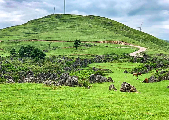 Green View at Jinfo Mountain