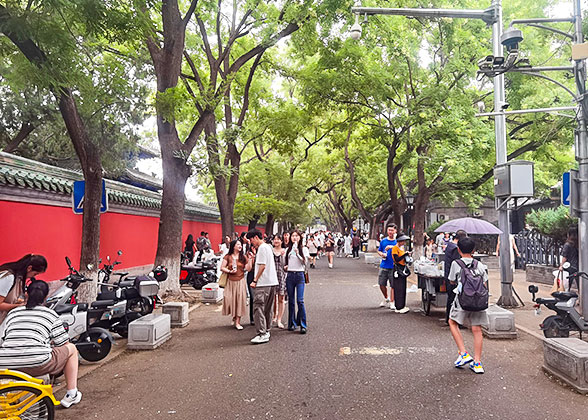 Scholar Trees, Guozijain Street