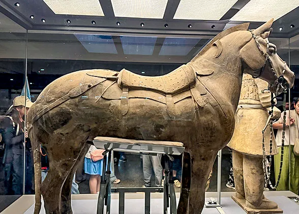 Horse of Cavalry Warrior