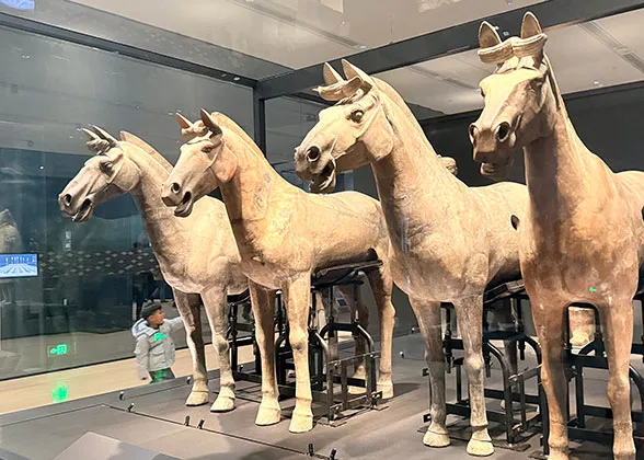 Vivid Terracotta Horses