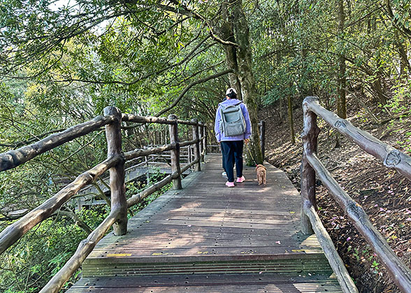 Footpath at the Top of Huangshi Village
