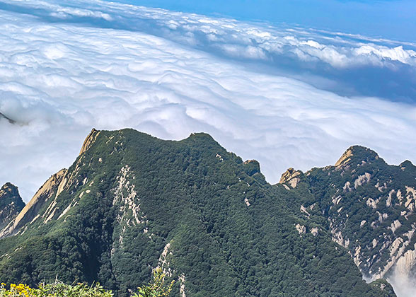 Sea of Clouds over Mt. Huashan